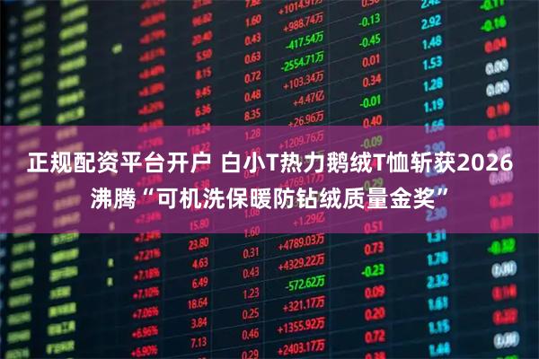 正规配资平台开户 白小T热力鹅绒T恤斩获2026沸腾“可机洗保暖防钻绒质量金奖”